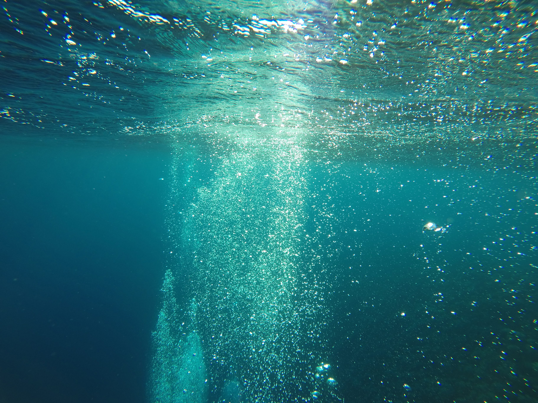 mostafa-ashraf-mostafa-2n-NlDEAhtk-unsplash